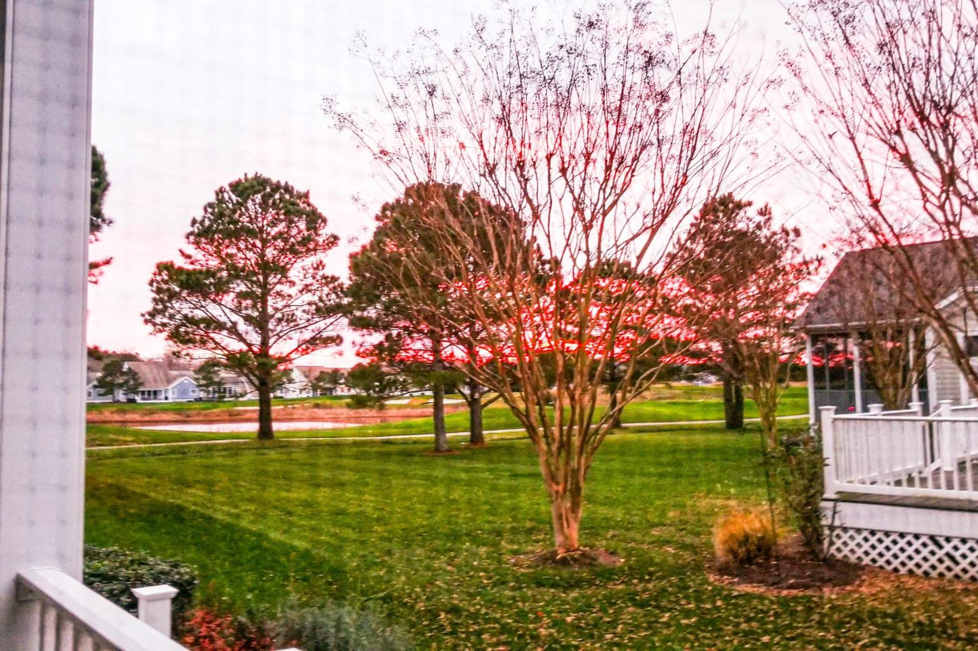 Bear Trap Dunes - Willow Oak Ocean View Rom bilde